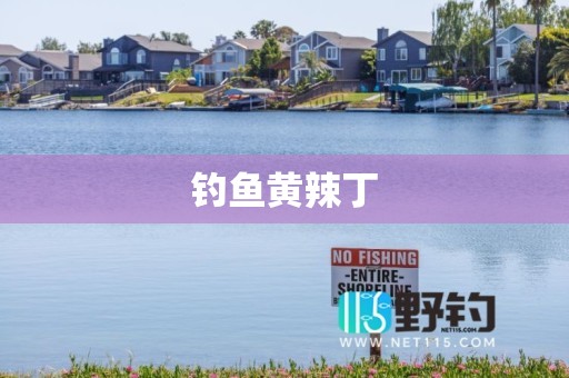 钓鱼黄辣丁