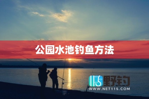 公园水池钓鱼方法