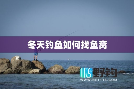 冬天钓鱼如何找鱼窝