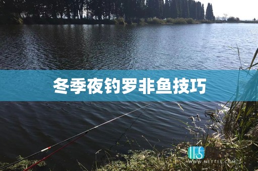 冬季夜钓罗非鱼技巧