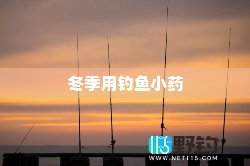冬季用钓鱼小药