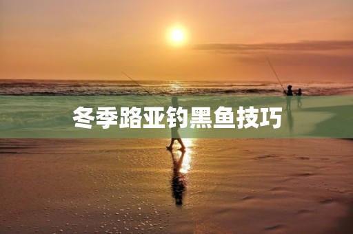冬季路亚钓黑鱼技巧