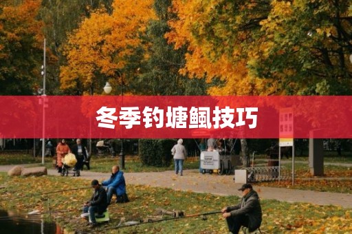 冬季钓塘鲺技巧