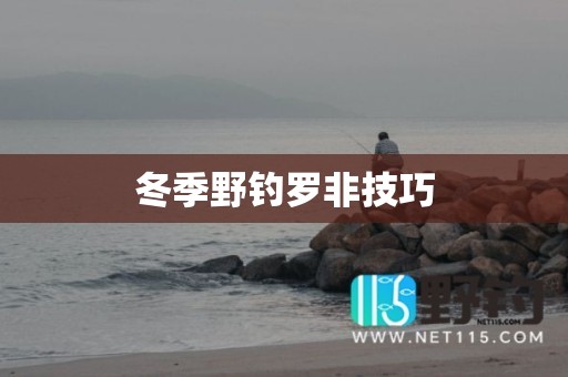 冬季野钓罗非技巧