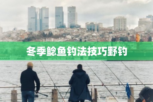 冬季鲶鱼钓法技巧野钓