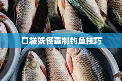 口袋妖怪重制钓鱼技巧