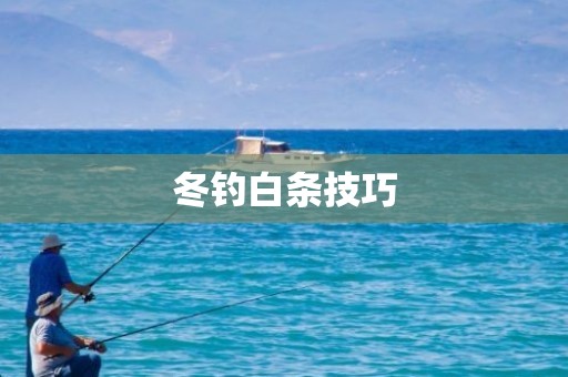 冬钓白条技巧