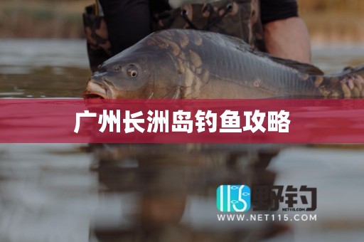广州长洲岛钓鱼攻略