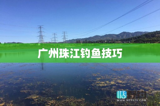 广州珠江钓鱼技巧