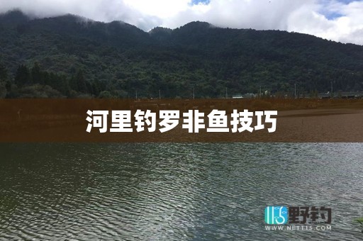 河里钓罗非鱼技巧