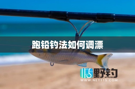 跑铅钓法如何调漂