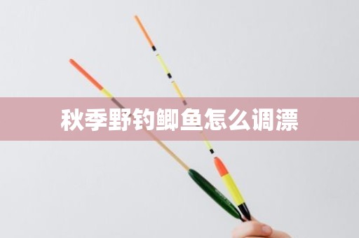 秋季野钓鲫鱼怎么调漂