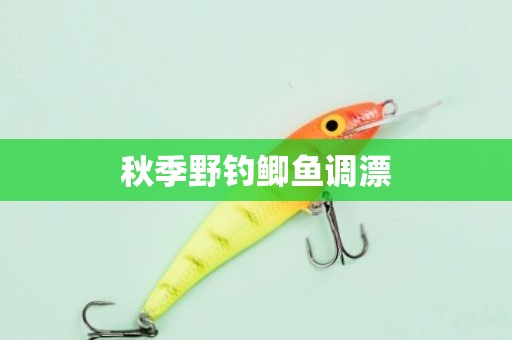 秋季野钓鲫鱼调漂