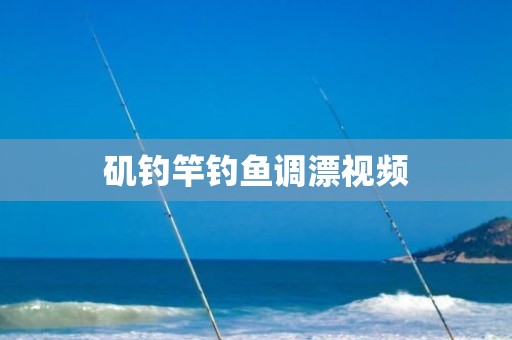 矶钓竿钓鱼调漂视频