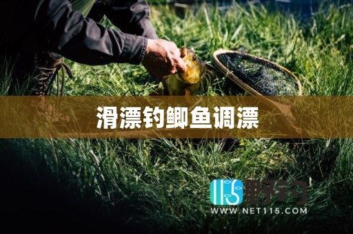 滑漂钓鲫鱼调漂