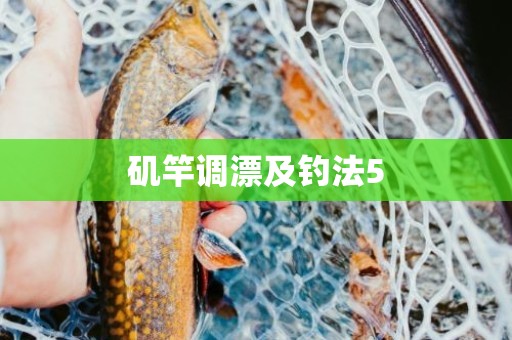 矶竿调漂及钓法5
