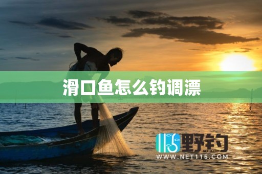 滑口鱼怎么钓调漂