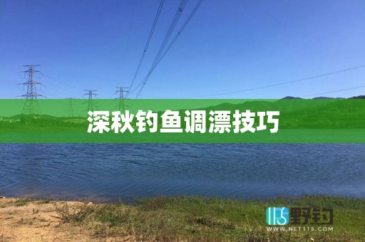 深秋钓鱼调漂技巧
