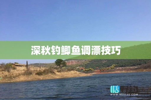 深秋钓鲫鱼调漂技巧
