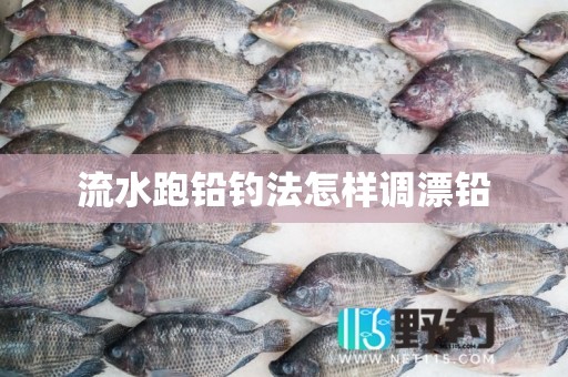 流水跑铅钓法怎样调漂铅