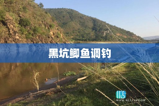 黑坑鲫鱼调钓