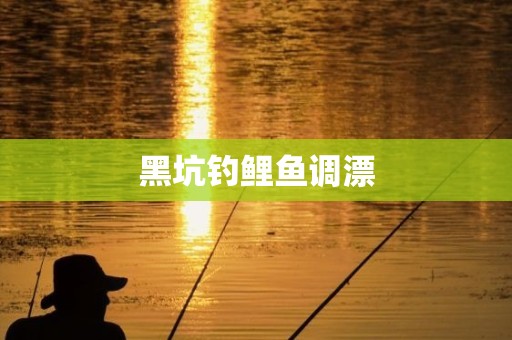 黑坑钓鲤鱼调漂