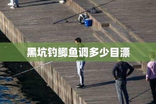 黑坑钓鲫鱼调多少目漂