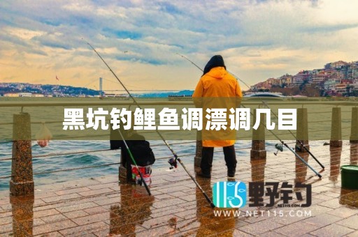 黑坑钓鲤鱼调漂调几目