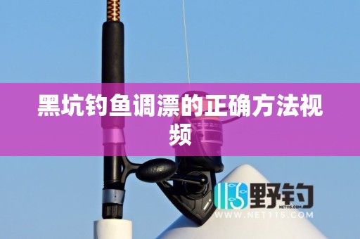 黑坑钓鱼调漂的正确方法视频