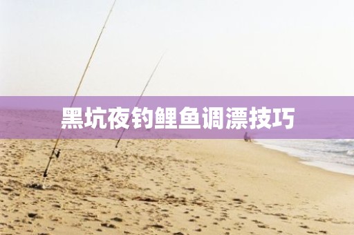 黑坑夜钓鲤鱼调漂技巧
