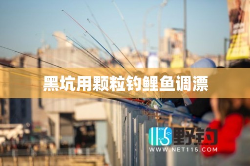 黑坑用颗粒钓鲤鱼调漂