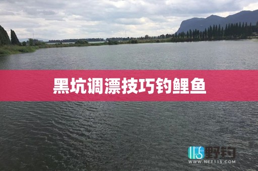 黑坑调漂技巧钓鲤鱼