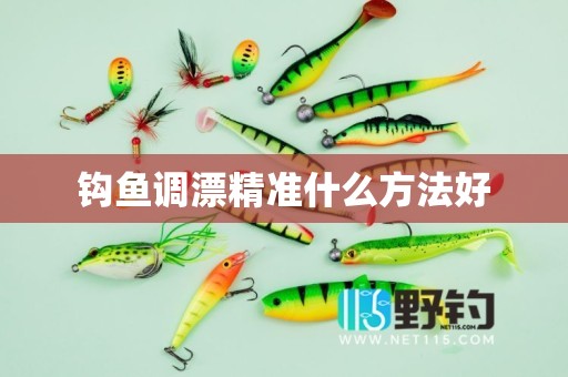 钩鱼调漂精准什么方法好