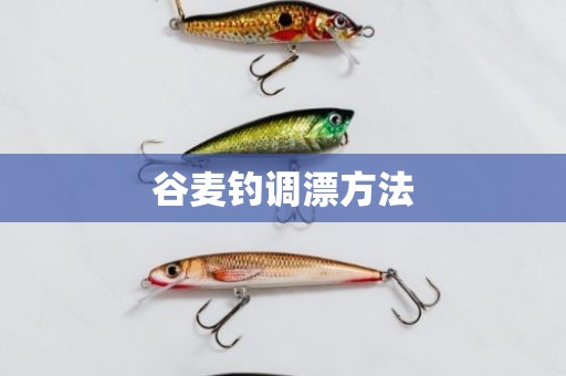 谷麦钓调漂方法