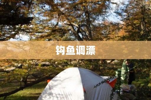 钩鱼调漂