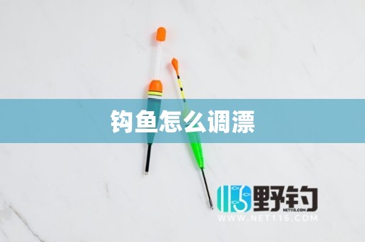 钩鱼怎么调漂