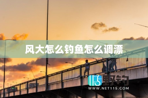 风大怎么钓鱼怎么调漂