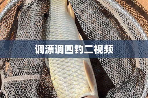 调漂调四钓二视频