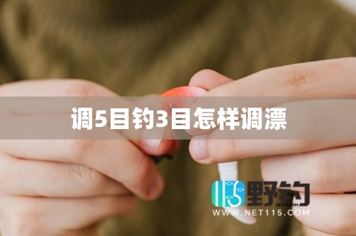 调5目钓3目怎样调漂