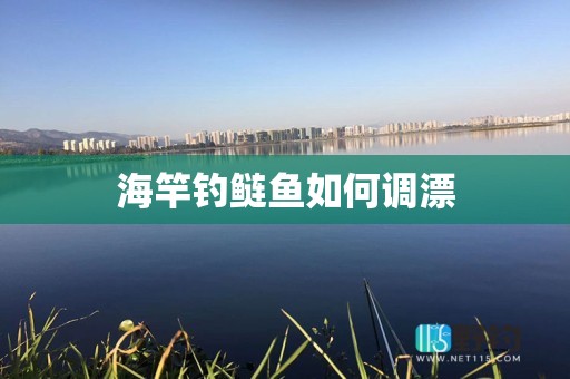 海竿钓鲢鱼如何调漂