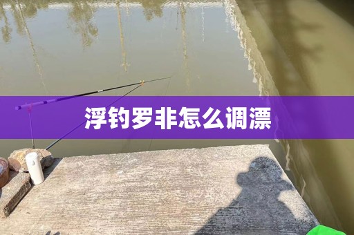 浮钓罗非怎么调漂