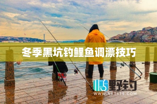 冬季黑坑钓鲤鱼调漂技巧