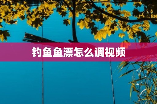 钓鱼鱼漂怎么调视频