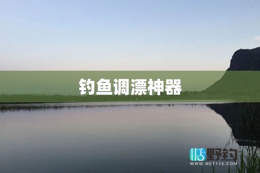 钓鱼调漂神器
