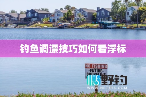 钓鱼调漂技巧如何看浮标