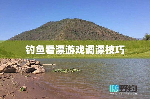 钓鱼看漂游戏调漂技巧