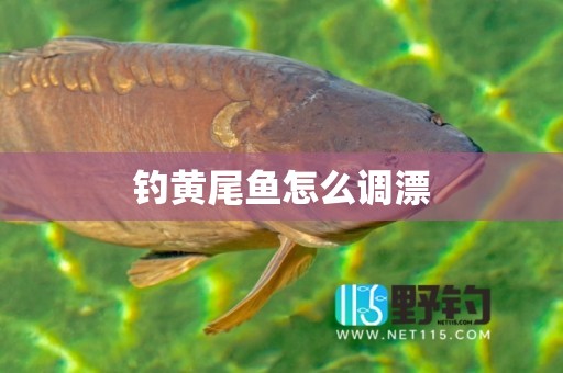钓黄尾鱼怎么调漂