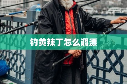 钓黄辣丁怎么调漂
