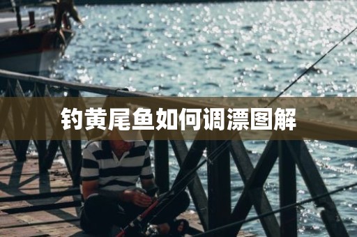 钓黄尾鱼如何调漂图解