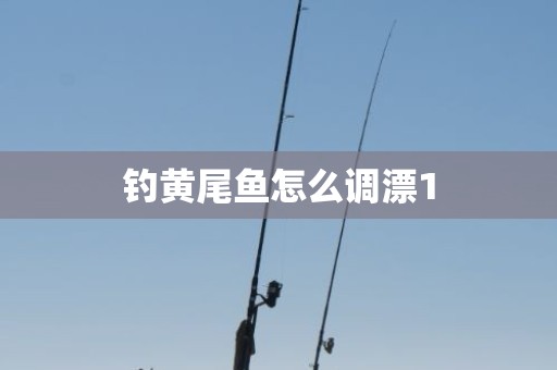 钓黄尾鱼怎么调漂1